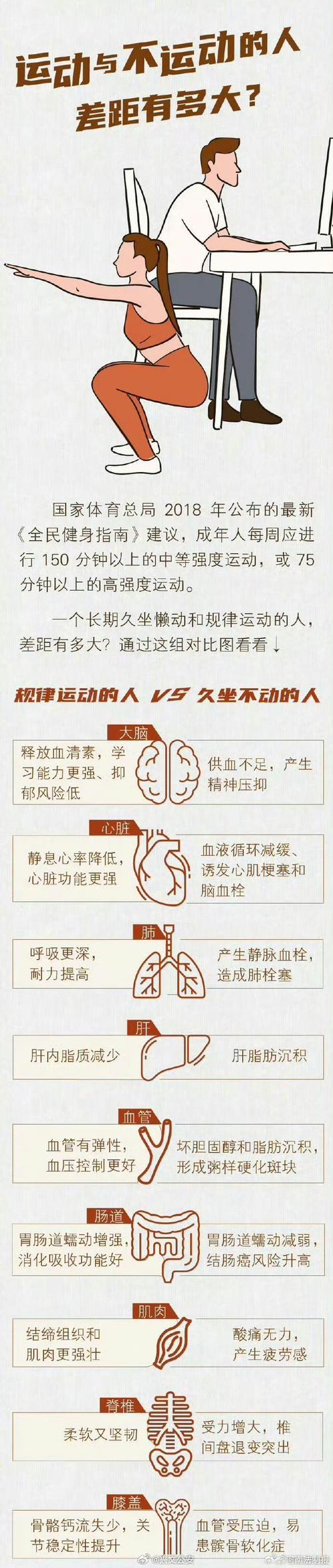 经常运动为什么不减肥