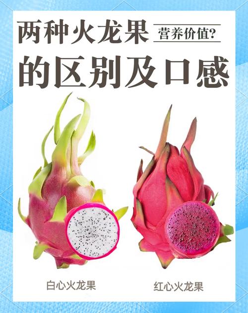 火龙果和什么搭配减肥效果好