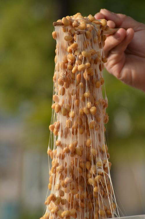 纳豆是什么样