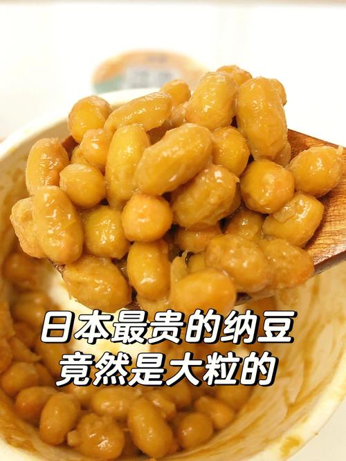 纳豆是什么样
