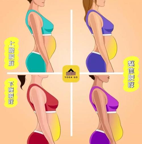 小腹胖是什么原因