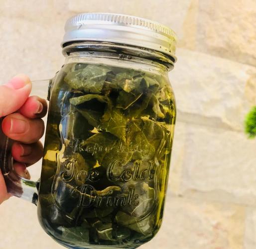 荷叶什么时间喝最减肥