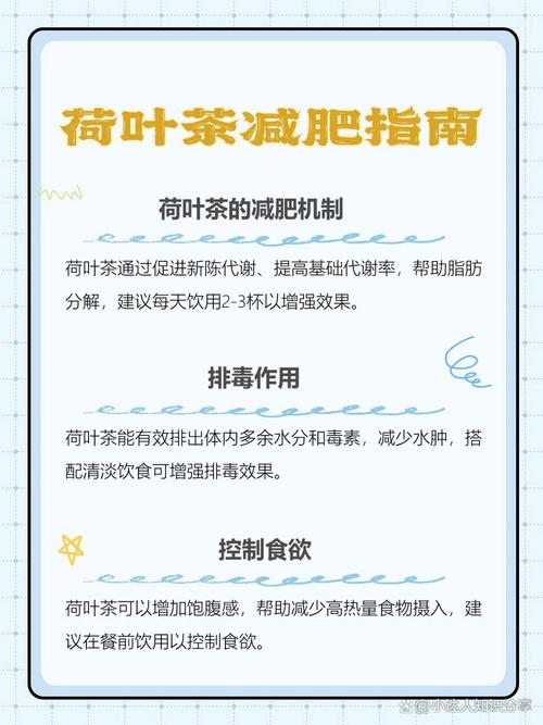 荷叶什么时间喝最减肥