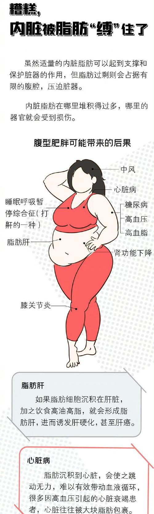 女人为什么会发胖
