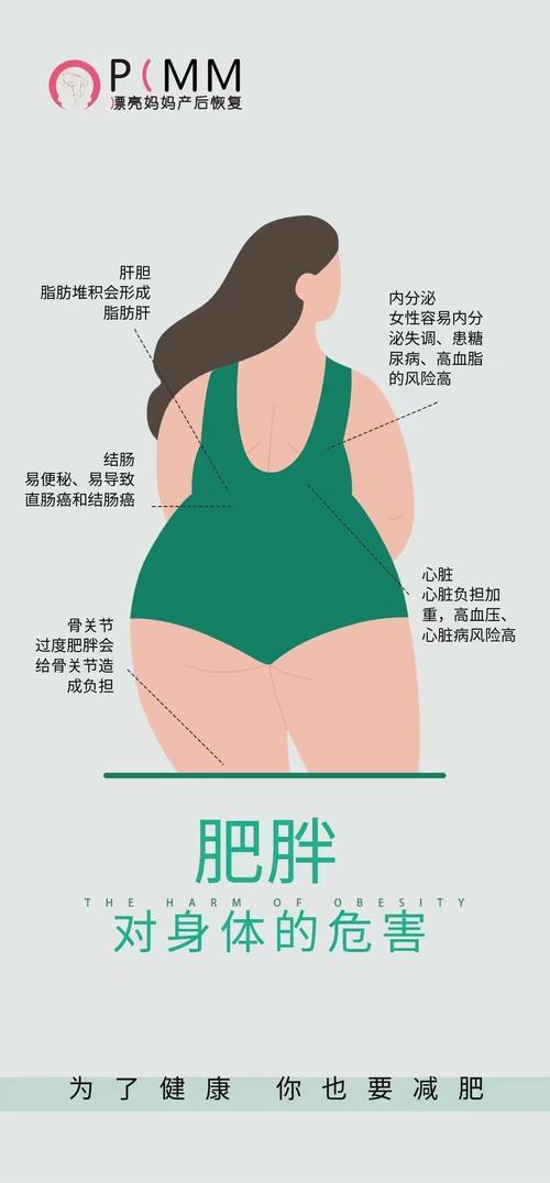 女人为什么会发胖