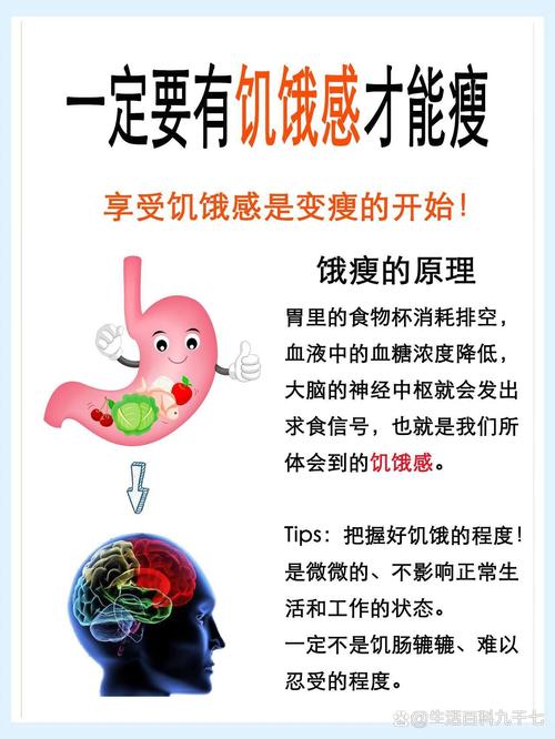 饥饿减肥先瘦的是什么