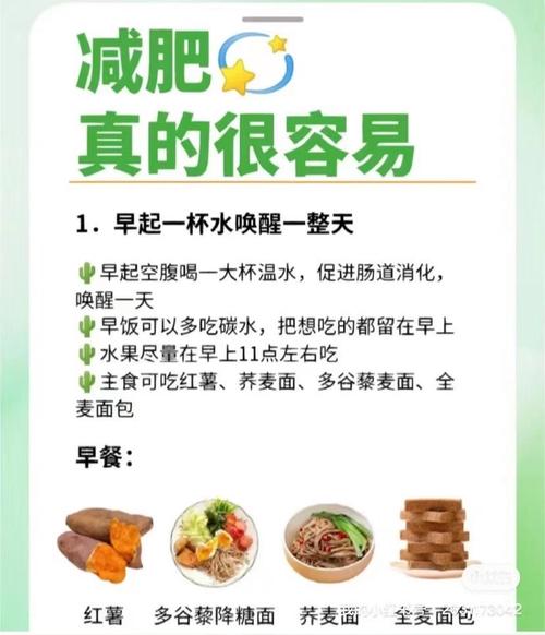 减肥之前需要注意什么意思