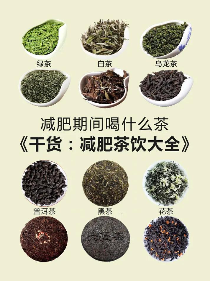 喝点什么茶可以减肥吗