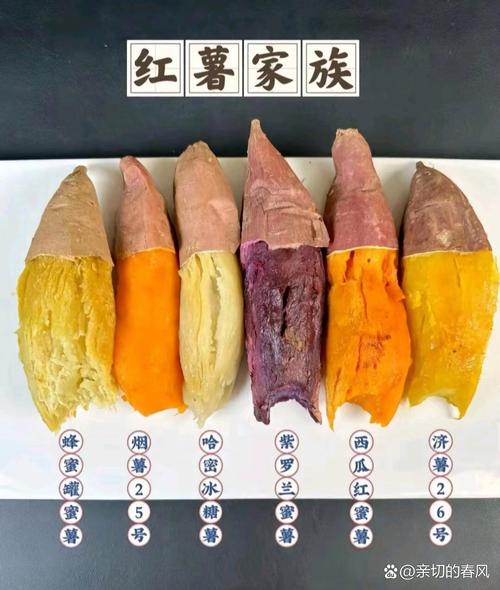 番薯和什么一起吃减肥吗