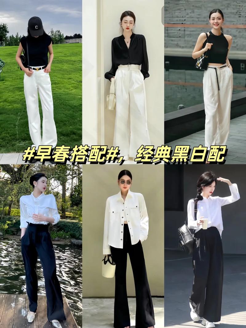 黑白和什么颜色搭配