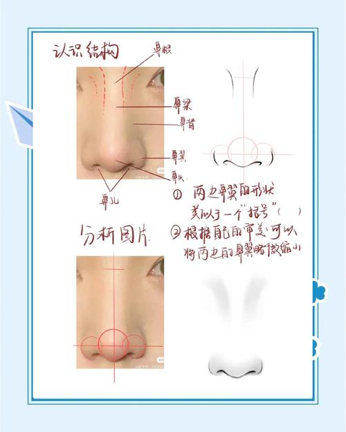 什么是鼻线