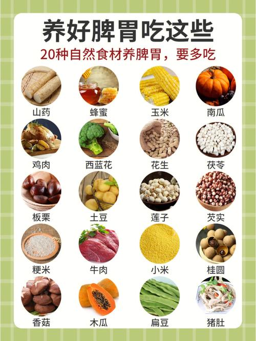 胃不好吃什么好养胃