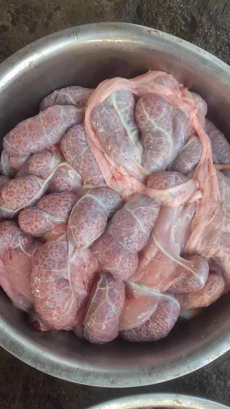 胎盘是什么样的图片