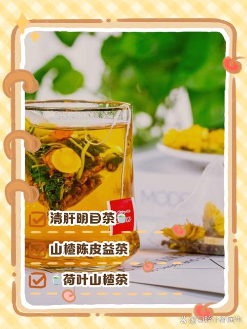 泡什么可以祛湿减肥