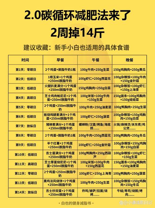 每天的减肥方法是什么