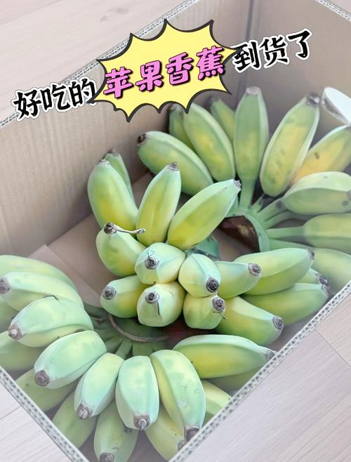 苹果加香蕉什么减肥最好