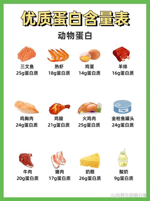 吃什么高蛋白减肥