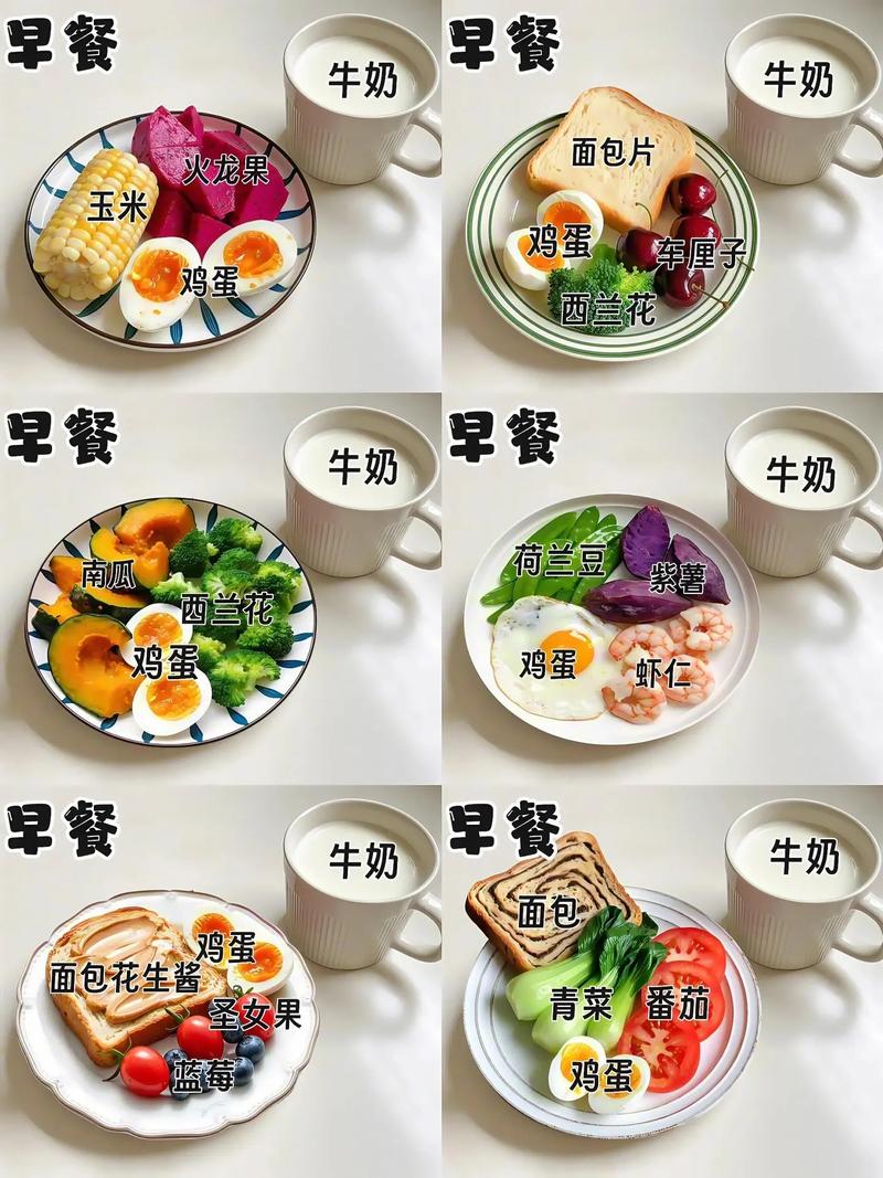 吃什么东西不饿还能减肥吗