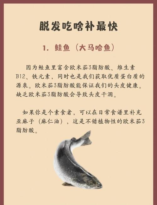 脱发要多吃什么