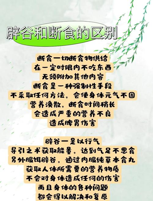 辟谷减肥什么意思