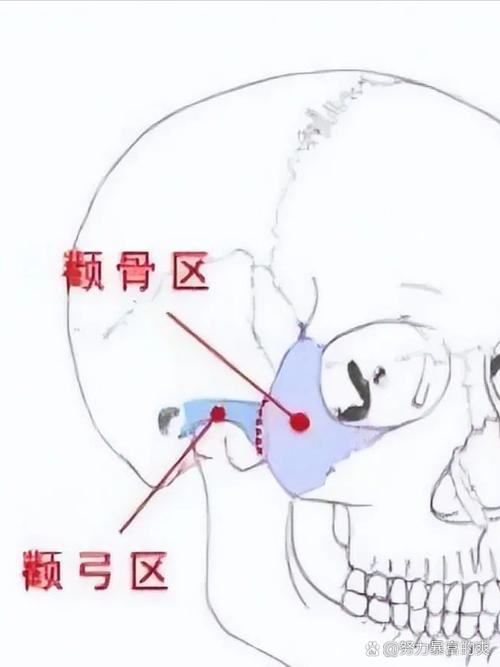 颧骨突出是什么脸型