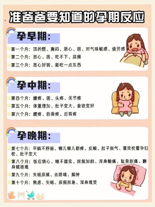 女生怀孕有什么反应
