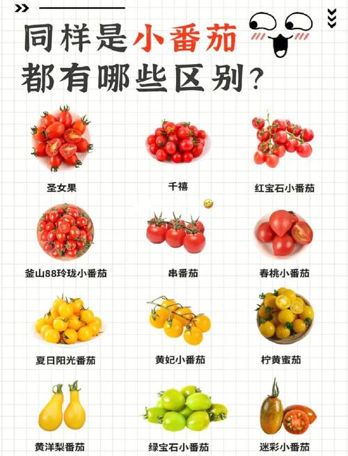 什么时间段吃西红柿有利于减肥