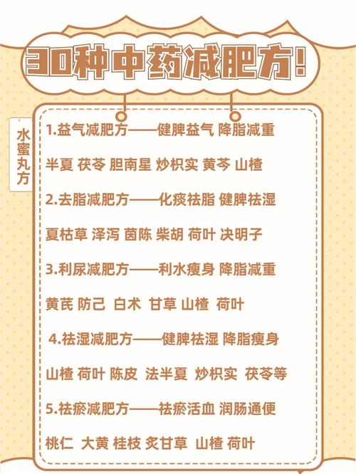 什么中药 减肥