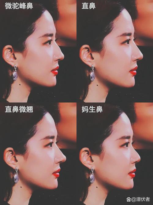 鼻孔什么形状好看
