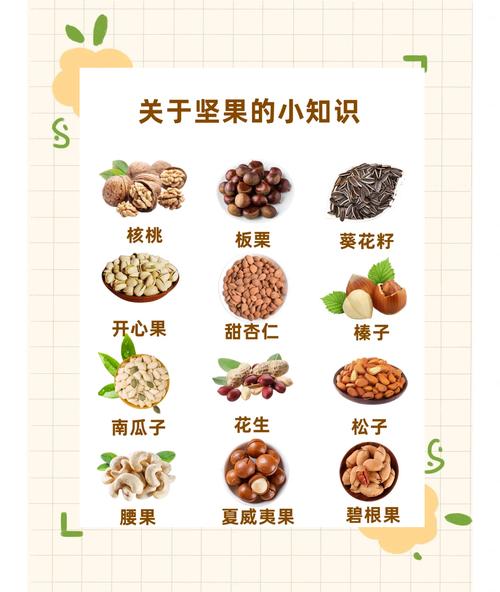 减肥期间吃的坚果吃什么好