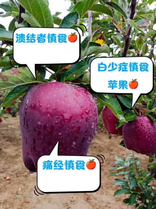 苹果和什么不能一起吃