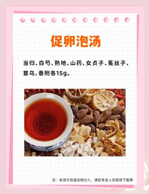 怀孕了喝什么汤好