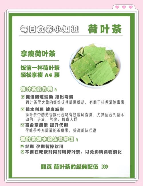 荷叶茶配什么茶减肥效果最佳
