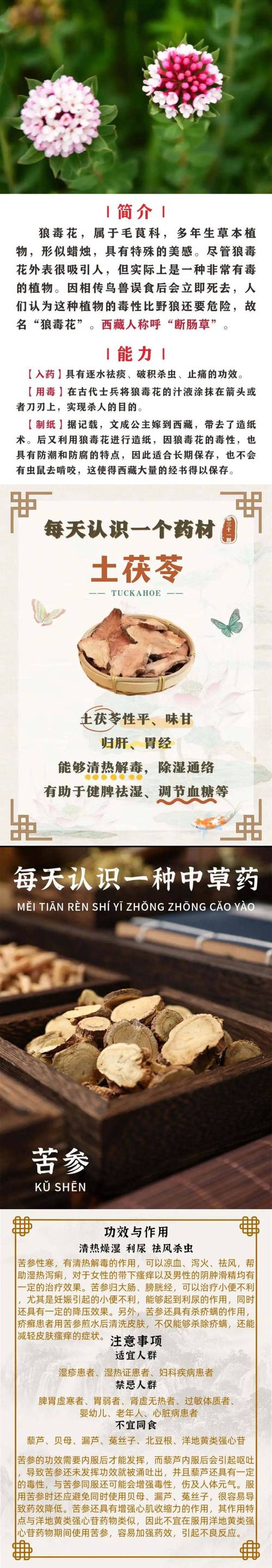 蛇油有什么作用