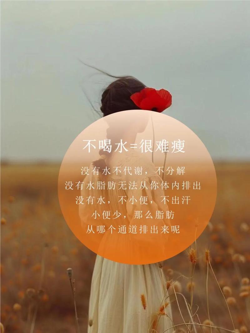 女生说减肥我该说什么