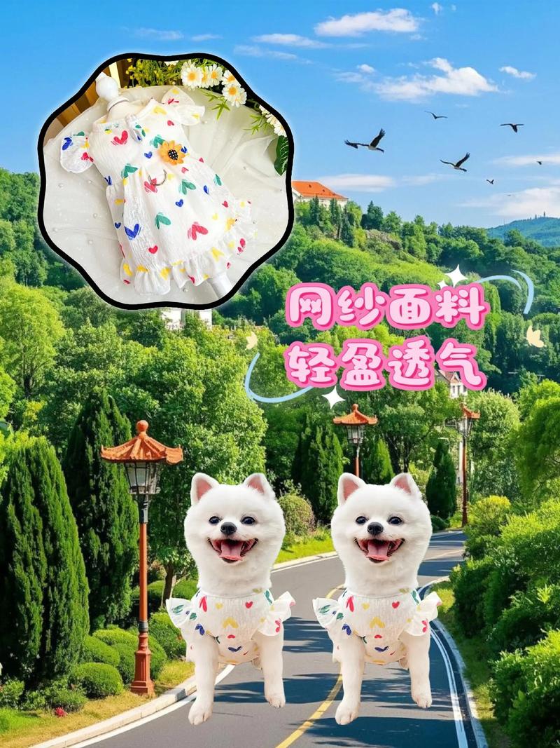 小衣服是什么