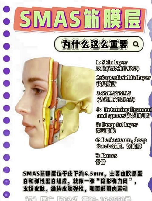 什么是筋膜层