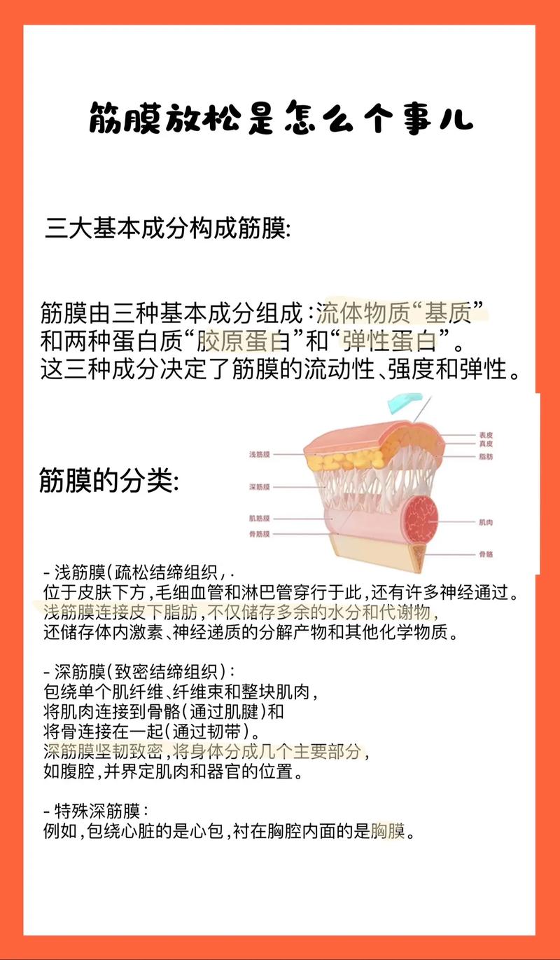 什么是筋膜层