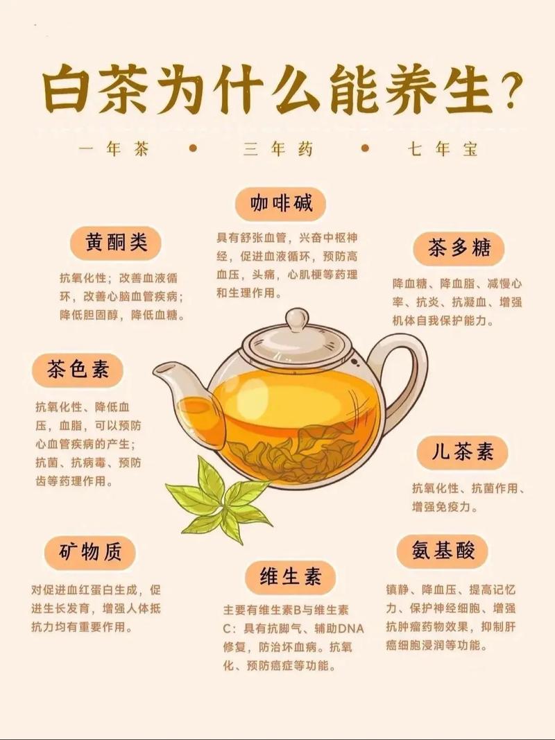 白茶什么时候喝减肥