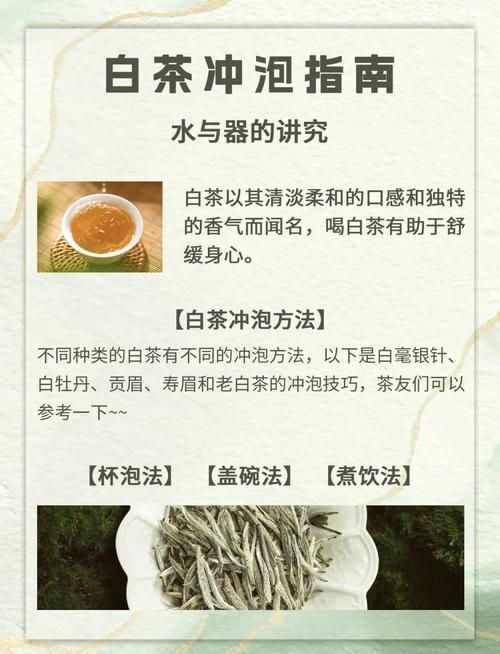 白茶什么时候喝减肥