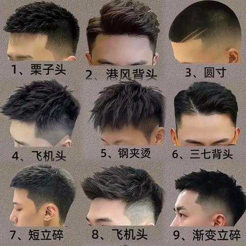 自然卷适合什么发型男