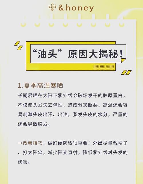头发为什么这么油