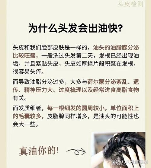 头发为什么这么油