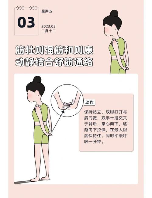 拔筋减肥是什么原理