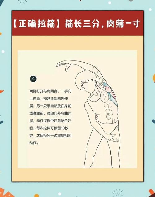 拔筋减肥是什么原理