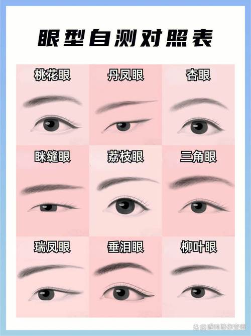 眼角向下是什么眼