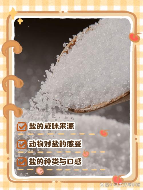 为什么不能接盐