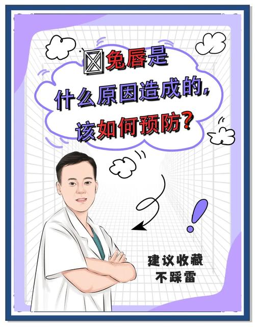 兔唇是什么意思