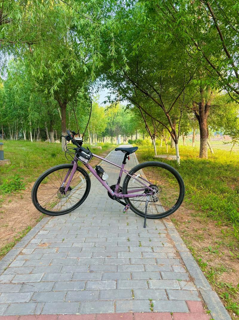 减肥骑什么车