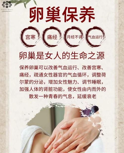 什么是卵巢保养